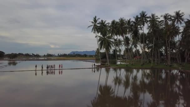 Les gens prennent des photos et marchent sur le chemin vers la plantation de noix de coco — Video