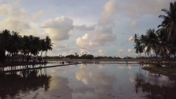 Pessoas silhuetas caminham na estrada conectam duas plantações de coco . — Vídeo de Stock