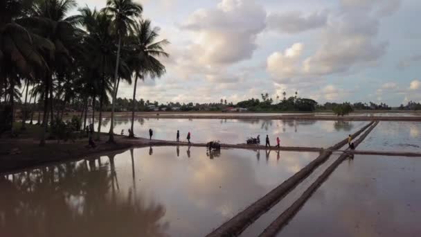 Luftaufnahme Ökotourismus Touristen besuchen Kampung Agong. Ein Mädchen spielt Schaukel. — Stockvideo