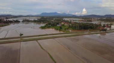 Çeltik tarlasında sel basmış suyla çevrili Malezya manzaralı kampung..