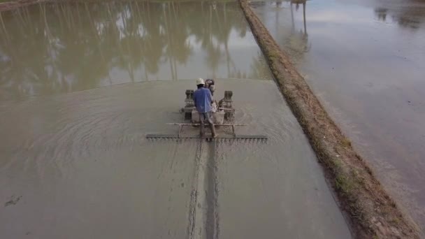 Pirinç tarlasında hava traktörü çizim operasyonu. — Stok video