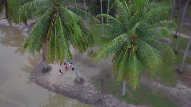 Flygfoto titta ner turist spela swing på ekoturism kokos gård. — Stockvideo