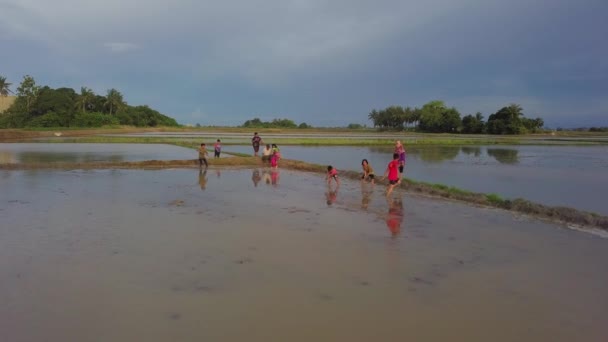 Feliz ásia kampung crianças jogar água no arroz paddy campo . — Vídeo de Stock