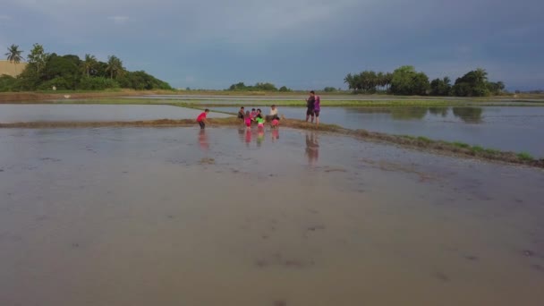 Ásia crianças jogar lama no campo paddy durante o tempo de lazer . — Vídeo de Stock