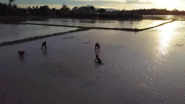Silhouette Les enfants jouent de l'eau de boue pendant l'heure du coucher du soleil . — Video