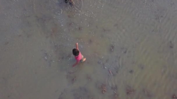Légi kilátás néz le a gyerekek játszanak iszapos víz a Paddy Field. — Stock videók