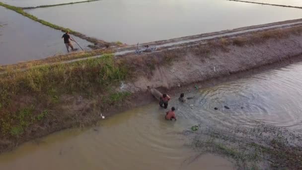 Vida de pueblo de los niños malayos juegan agua en el río. Un granjero está arando atrás . — Vídeos de Stock