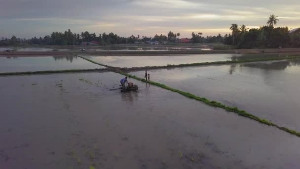 Agricultor vista aérea arado com duas rodas trator saudação para crianças — Vídeo de Stock