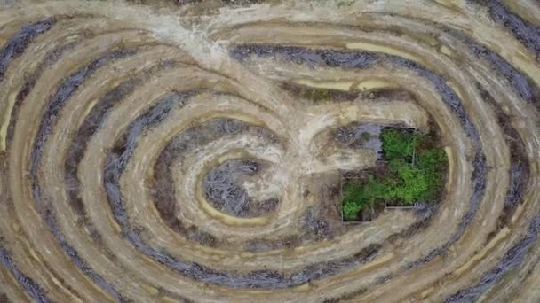 Drone vista tierra clara en finca de palma aceitera para replantar . — Vídeos de Stock