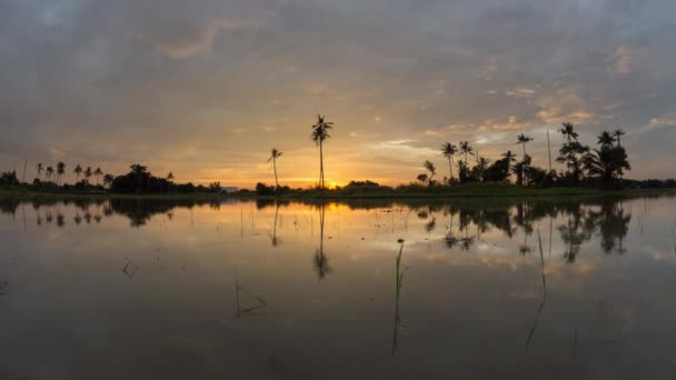 Time lapse reflectie zonsondergang met gouden wolk, kokosbomen. — Stockvideo