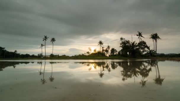Tijdsverloop reflectie donkere wolk over kokosbomen — Stockvideo