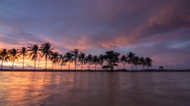 Bukit Mertajam 'da gün batımının yansıması hindistan cevizi ağacı