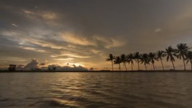 Bukit Mertajam 'ın suyunda hızlandırılmış hindistan cevizi ağaçları