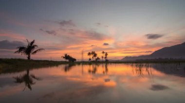 Zaman atlaması yansıması altın günbatımı hindistan cevizi ağaçları.