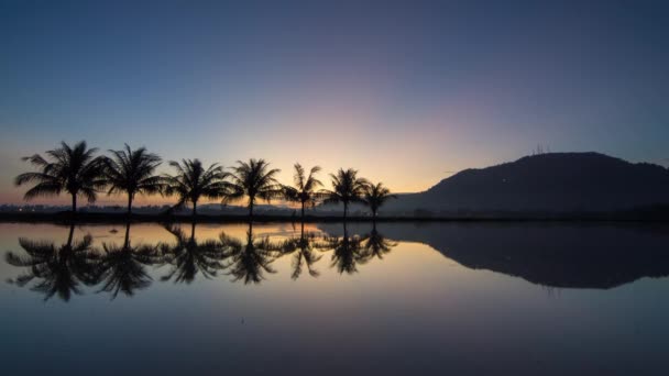 Time lapse morning ray over short coconut trees and hill — Stock Video