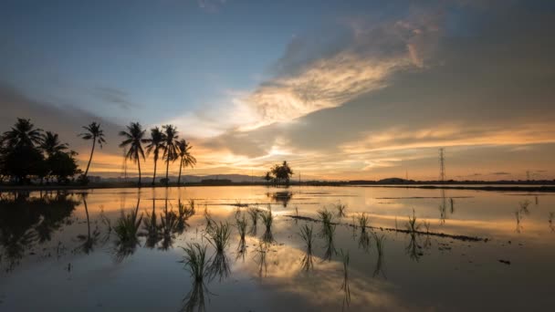 Time lapse reflectie kleurrijke zonsondergang over de kokosbomen. — Stockvideo