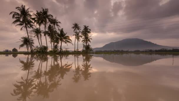 Time lapse jour nuageux réflexion dans l'eau — Video