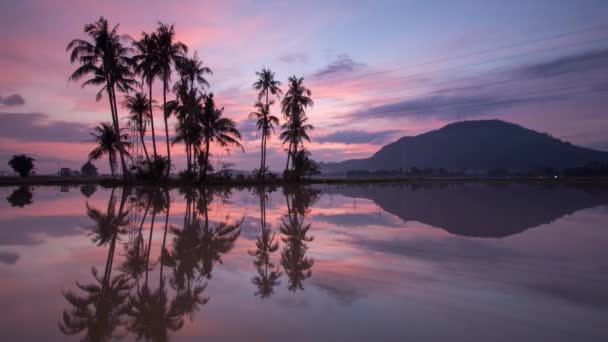 Time lapse reflection sunrise coconut trees with electric cable. — Stock Video