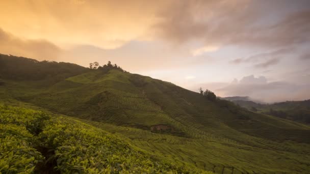 Puesta de sol de Timelapse en Cameron Highlands, Malasia . — Vídeos de Stock