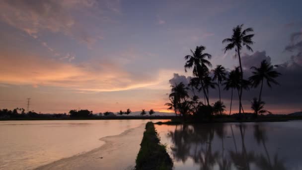 Waktu matahari terbenam di peternakan kelapa. — Stok Video