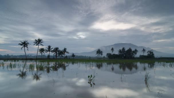 Čas vypršel krásný oblačný den na dvou rolích kokosových stromů — Stock video