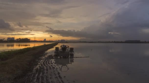 Time lapse trattore di riposo nel campo risaia . — Video Stock