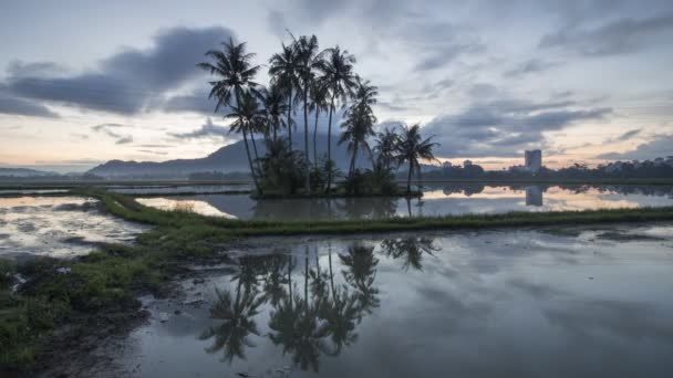 Time lapse che conduce sentiero verso alberi di cocco tropicali . — Video Stock