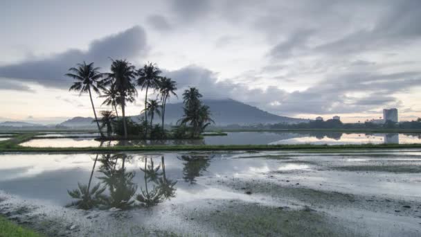 Time lapse cloudy morning with with coconut trees reflect in the water — Stock Video