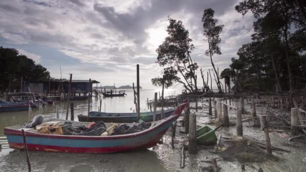マングローブの木の横にタイムラプス漁師の村. — ストック動画