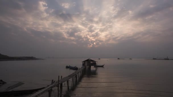 Hög vinkel fiske duva brygga vid Penang. — Stockvideo