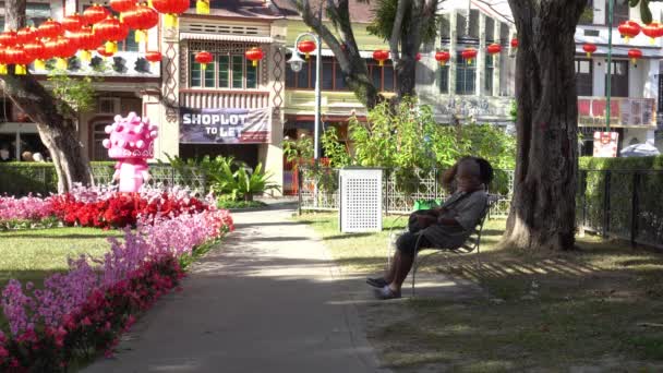 Un anciano sentado en la silla en el parque — Vídeos de Stock