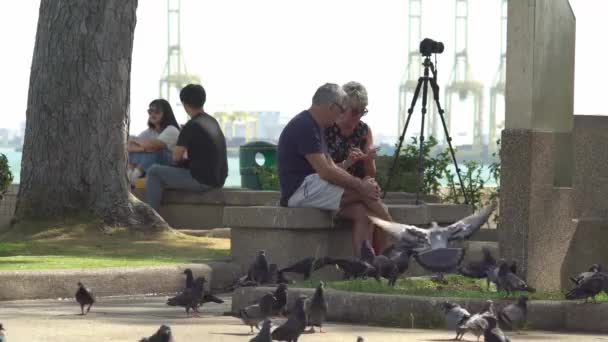 Turista sentar-se no concreto . — Vídeo de Stock