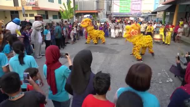 Малайцы и индийцы также интересуются танцами львов — стоковое видео