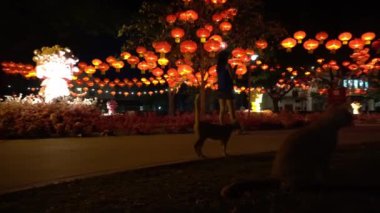 Kırmızı fenerlerle süslenmiş Ermeni Parkı 'na aile ziyareti.