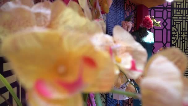 Kinesiska nya året traditionell duk med suddig förgrund av blomma. — Stockvideo