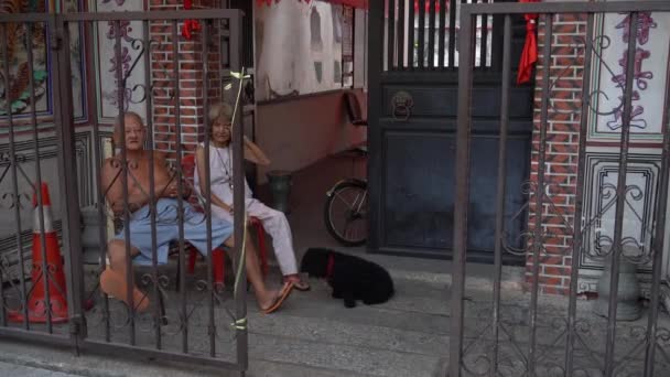 Lokal chatt vid ingången till templet. En svart hund följer med. — Stockvideo