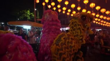 Aslan dansı gece grup halinde toplanın..