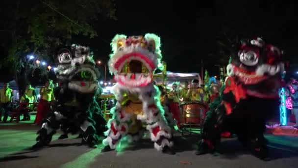 Three lion dance perform at street. — Stock Video