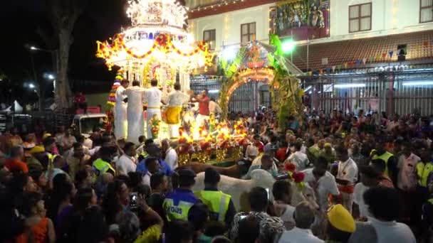 Vacas sagradas se preparan para tirar de carro de plata para la procesión . — Vídeos de Stock