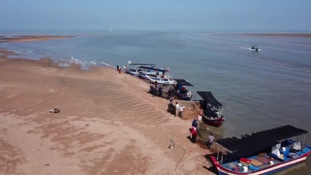 Рибалки в повітрі чистять сітку біля естуарію.. — стокове відео