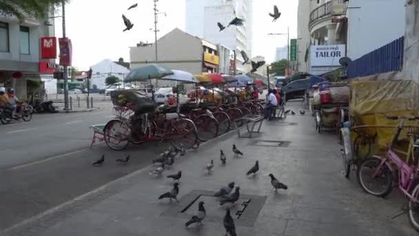 George Town Penang Malajsie Ledna 2020 Holubi Odlétají Parkoviště Rikši — Stock video