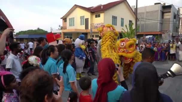 Кулим Кедах Малайзия Января 2020 Танец Льва Взаимодействует Людьми — стоковое видео