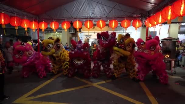 George Town Penang Malaysia Jan 2020 Sex Lejon Dansar Gatan — Stockvideo