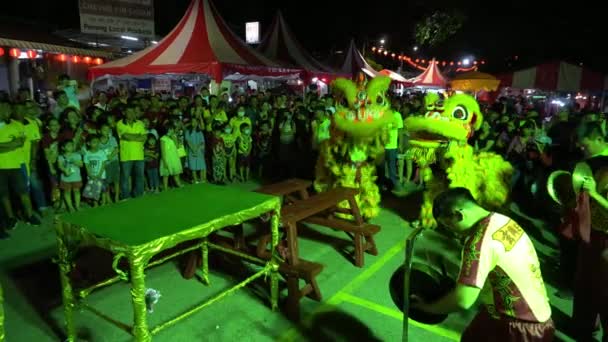 Bayan Lepas Penang Malezya Ocak 2020 Lion Dans Gösterisi — Stok video