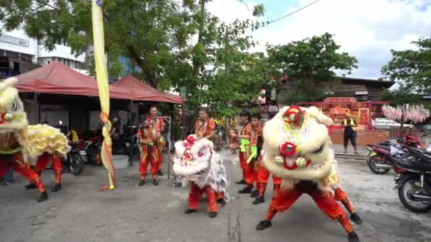 Georgetown Penang Malaysia Feb 2020 Large Small Lion Dance Chew — стокове відео