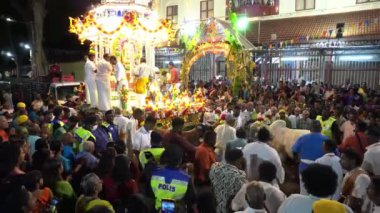 Georgetown, Penang / Malezya - Şubat 09 2020: Gümüş at arabasını çekecek kutsal inek beklemede.