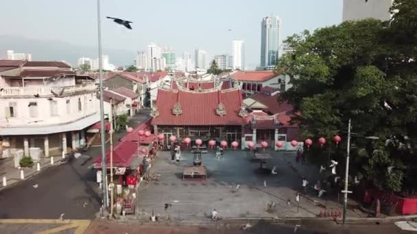 ジョージタウン ペナン マレーシア 2020年3月21日 ピジョンは午前中に慈悲の寺院の女神で飛ぶ ロックダウン中に寺院は閉鎖されます — ストック動画