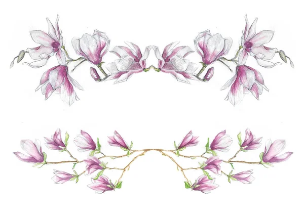   suluboya çiçek - çiçek açan Manolya (dal)