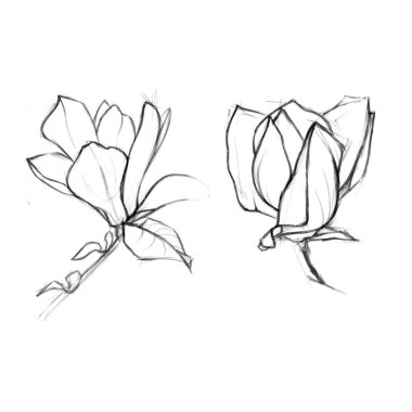   koleksiyon mürekkep çiçek deseni 