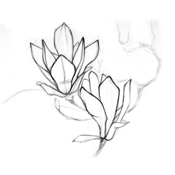   koleksiyon mürekkep çiçek deseni 